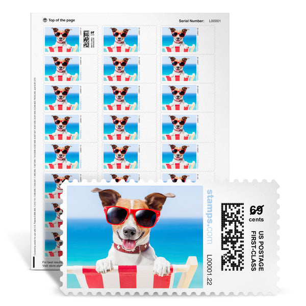 Summer Pup NetStamps<sup>&reg;</sup>